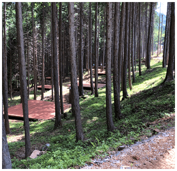 Sacheon Cable Car Nature Recreation Forest - 1