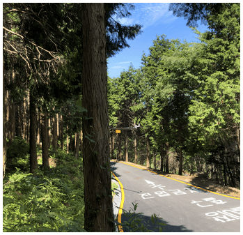 Sacheon Cable Car Nature Recreation Forest - 3