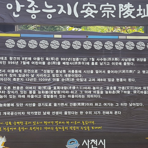 안종능지