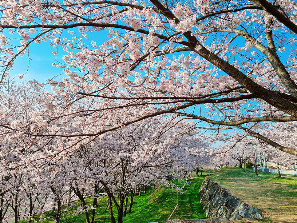 Seonjinri Fortress