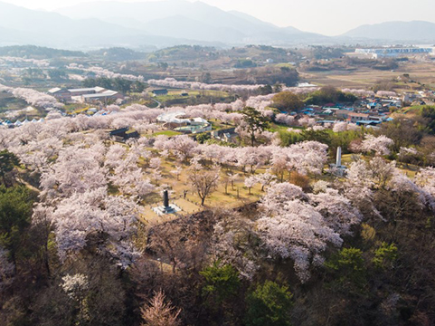 실안낙조-2