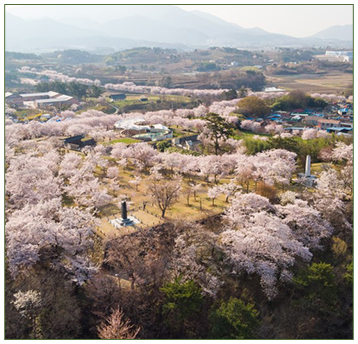 창선ㆍ삼천포대교