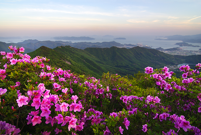 실안낙조-1
