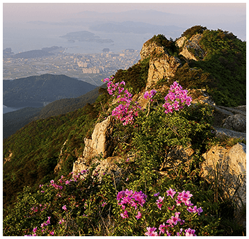 창선ㆍ삼천포대교